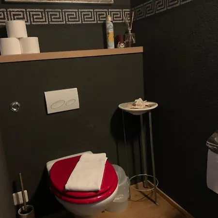 Areal 58b Loft-wohnung * אינטרלאקן